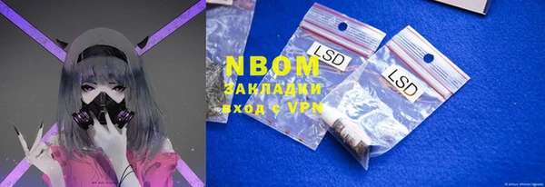 амф Кулебаки