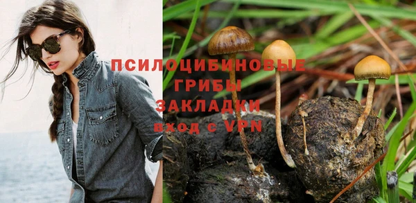 бошки Кострома