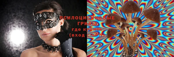 дурь Кукмор