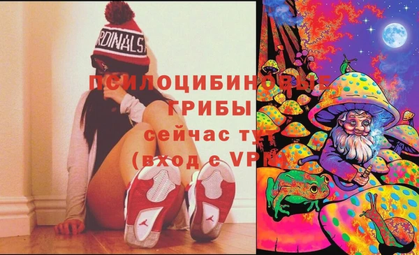 ГАЛЛЮЦИНОГЕННЫЕ ГРИБЫ Лабытнанги