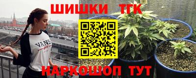 прущие крисы Канаш