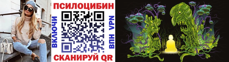 Галлюциногенные грибы Psilocybe  купить   Ржев 