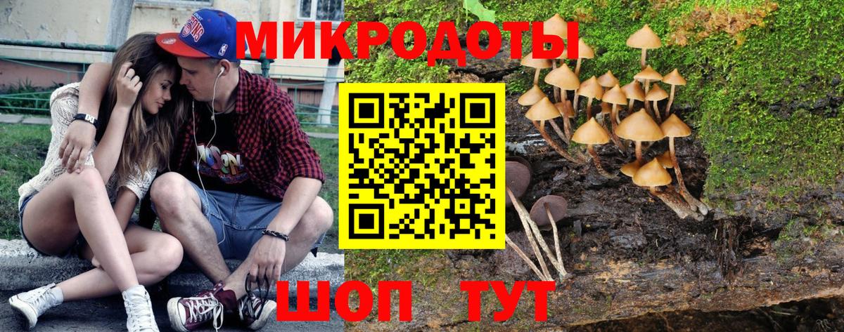 где купить наркотик  Ржев  Галлюциногенные грибы Cubensis 