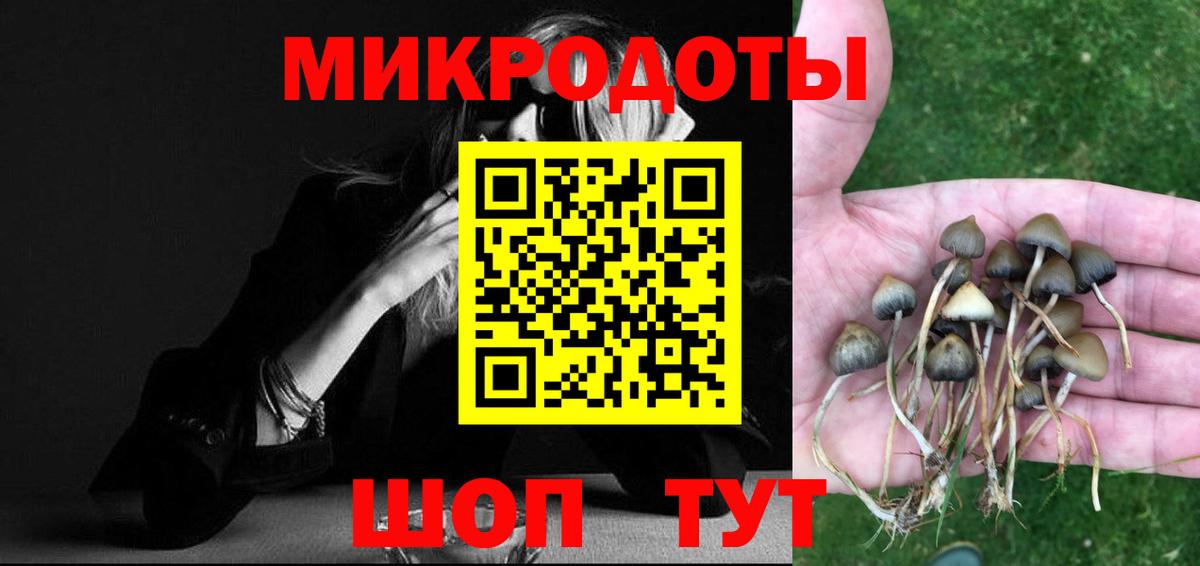 Ржев  Псилоцибиновые грибы мицелий  Вход с VPN 